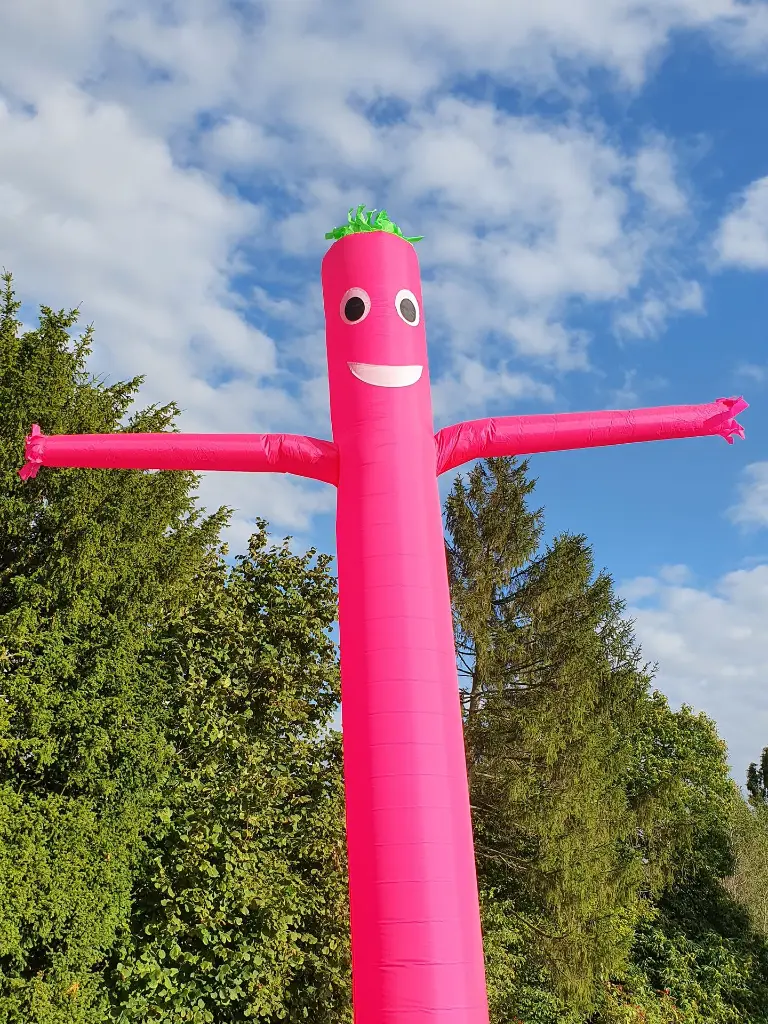 sky dancer rose.webp