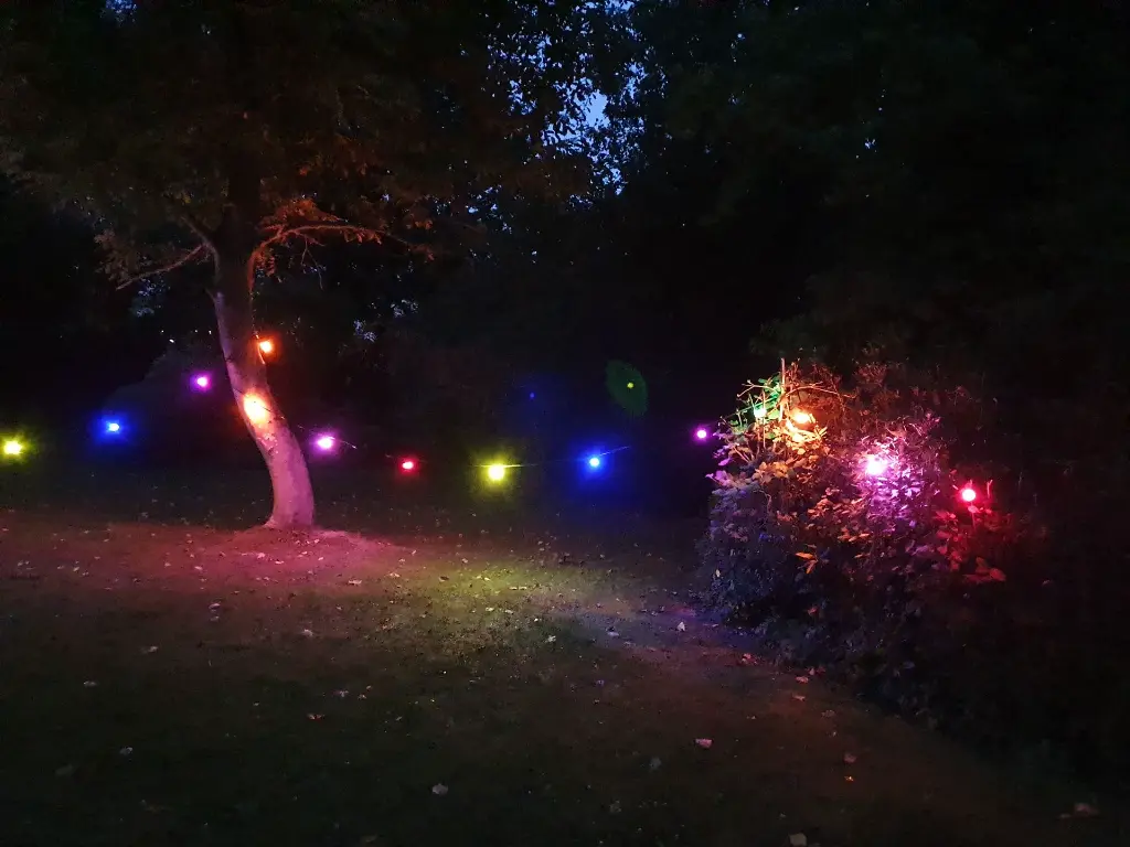 Guirlande guinguettemulticolor 25m-4.webp