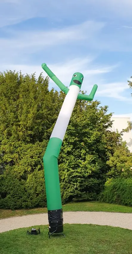 Sky dancer 6,5m (Vert et blanc, 1 Jour)