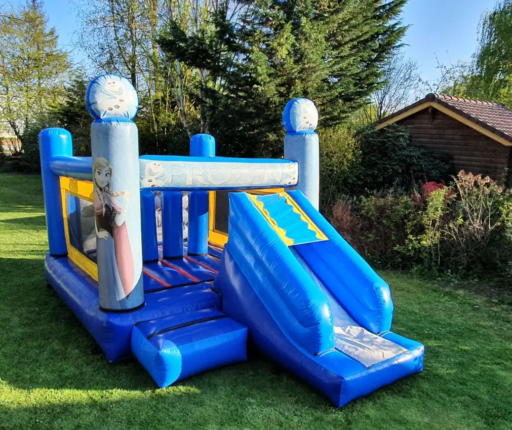 Reine des neige (Livré)