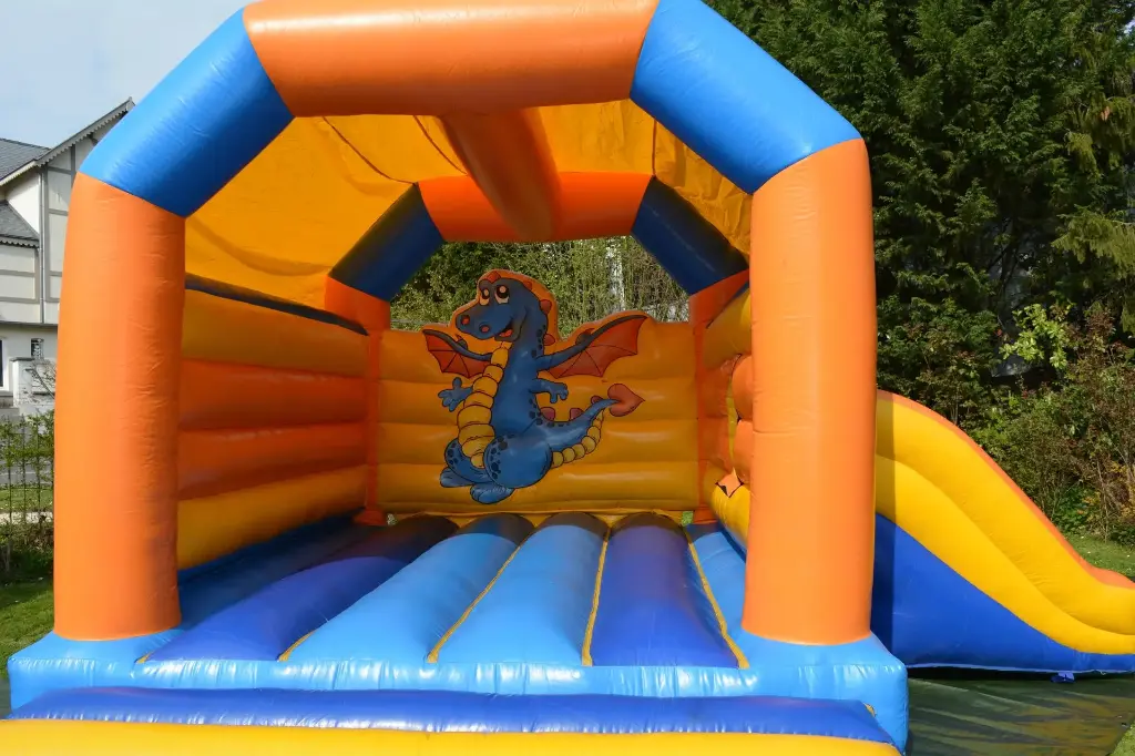 Le petit Dragon (Livré)